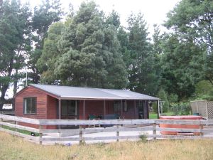 Farmstay - Flagstaff Alpacas