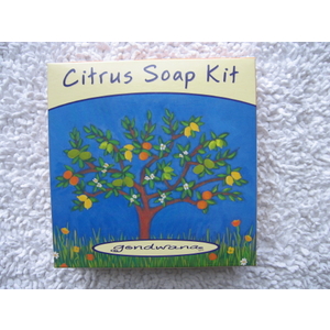 Citrus Soap Making Kit