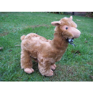 Large Alpaca Soft Toy - Colour Tan