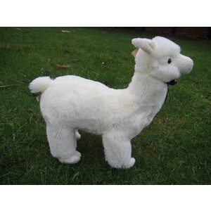 Large Alpaca Soft Toy - Colour White